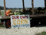 Click to see 18 Famous Corn.JPG
