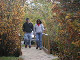 Click to see 09 Nature Trail in Autumn 01.jpg