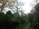 Click to see 13 Nature Trail in Autumn 04.jpg