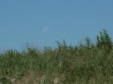 Click to see 020 Moonset.JPG