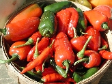 Click to see 042 Farm Stand Peppers.JPG