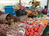 Click to see 044 Farm Stand Spread.JPG