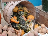 Click to see 046 Farm Stand Gourds.JPG