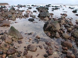 Click to see 15 Tide Pool.JPG