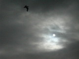 Click to see 096 Afternoon Clouds.JPG
