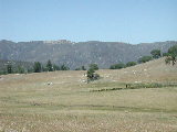 Click to see 127 Palomar Meadows 3.JPG