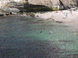 Click to see 149 Snorkeling La Jolla Cove 2.JPG