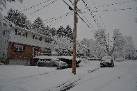 Click to see 21 Snowy Chapin.jpg
