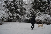 Click to see 22 Snow Fun with Sam 01.jpg