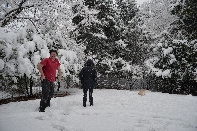 Click to see 23 Snow Fun with Sam 02.jpg