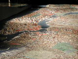 Click to see 18 NYC Panorama 01.jpg