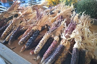Click to see 19 Sunday Farm Stand.jpg