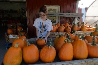 Click to see 21 Sunday Farm Stand.jpg