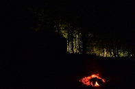 Click to see 39 Dying Embers.jpg