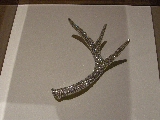 Click to see 12 Jeweled Antler.jpg