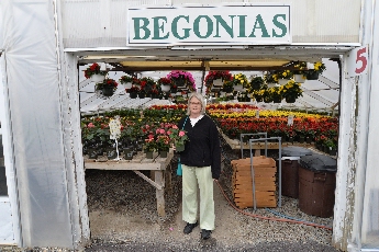 Click to see 38 Begonias.jpg