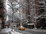 Click to see 04 Wintery 53rd Street.jpg