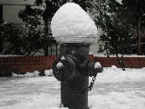 Click to see 14 Hydrant Hat.jpg