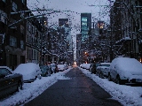 Click to see 15 Snowy 50th Street.jpg