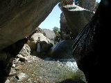 Click to see 011 Palm Canyon 3.JPG