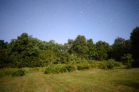 Click to see 197 Moonlit Field.jpg