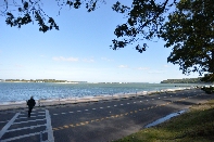 Click to see 38 Walk to the Shore.jpg