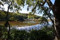 Click to see 40 Quiet Pond.jpg