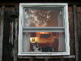 Click to see 03 Cloey in the Window.JPG