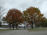 Click to see 04 Autumn.jpg