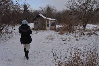 Click to see 01 Snowy Shed.jpg