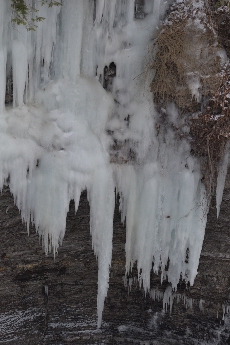 Click to see 12 Icicles.jpg