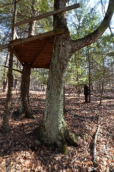 Click to see 30 The Treehouse.jpg