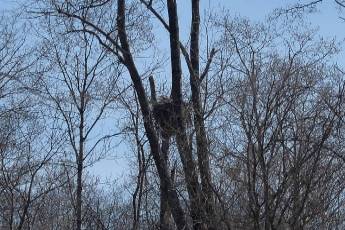 Click to see 07 Eagles Nest 02.jpg
