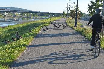 Click to see 11 Morning Ride.JPG