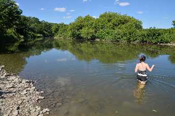 Click to see 12 June 24th Swim.JPG
