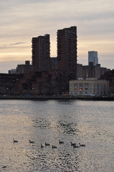 Click to see 03 East River.jpg