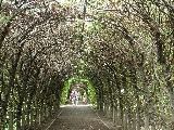 Click to see 04 Tunnel at Snug Harbor.JPG