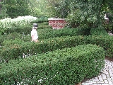 Click to see 27 Secret Garden Maze.JPG