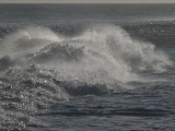 Click to see 02 Big Surf 02.JPG