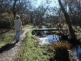 Click to see 17 Nature Trail 02.JPG