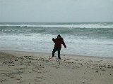 Click to see DSCN1326.JPG