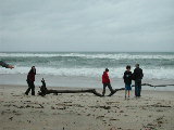 Click to see DSCN1328.JPG