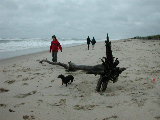 Click to see DSCN1330.JPG