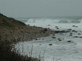 Click to see DSCN1349.JPG