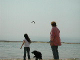 Click to see 03 Swimming Lessons.JPG