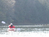Click to see 09 Driving the Geese.jpg