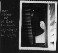 Click to see ump09.jpg