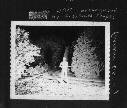 Click to see vmp09.jpg